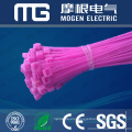 CE RoHS SGS PA66 Self-Locking Plastic Cable Tie